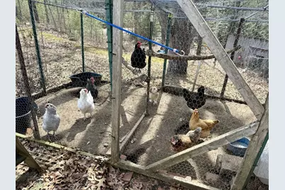 163 Pumpkin Hill Road, Warner, NH 03278 - Photo 31