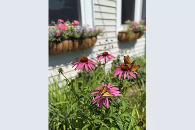 163 Pumpkin Hill Road, Warner, NH 03278 - Photo 35