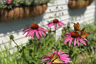 163 Pumpkin Hill Rd, Warner, NH 03278 - Photo 35