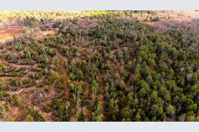 0 Leighton Corner Road, Wakefield, NH 03872 - Photo 7