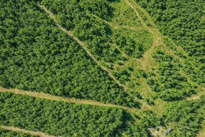 0 Nh Route 103, Warner, NH 03278 - Photo 5