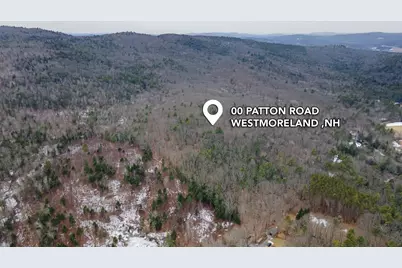 00 Patton Road, Westmoreland, NH 03467 - Photo 3