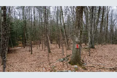 00 Patton Road, Westmoreland, NH 03467 - Photo 1