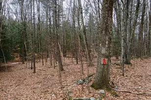 00 Patton Rd, Westmoreland, NH 03467 - Photo 1