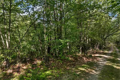 Chamberlain Road #11, Alton, NH 03809 - Photo 5