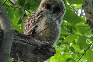 21 Gould Hill Rd, Hopkinton, NH 03229 - Photo 55