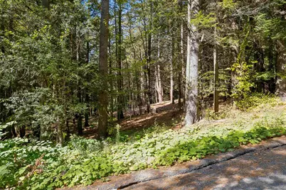 0 and 2.5 Balch Hill Lane, Hanover, NH 03755 - Photo 11