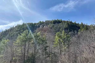 5 Wildflower Ln, Bartlett, NH 03812 - Photo 3