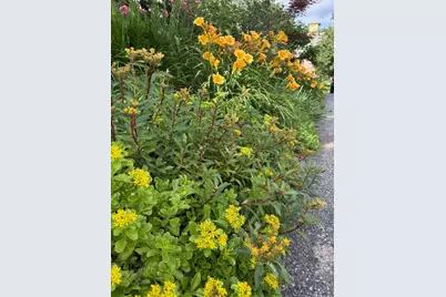 29 Grant Street, Keene, NH 03431 - Photo 55