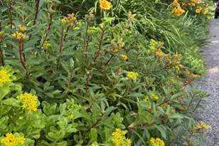 29 Grant St, Keene, NH 03431 - Photo 55