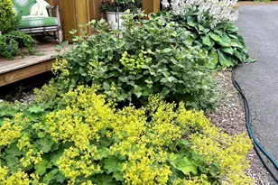 4 Wild Turkey Rd, Deerfield, NH 03037 - Photo 59