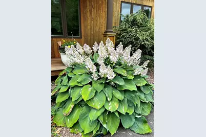 4 Wild Turkey Road, Deerfield, NH 03037 - Photo 57