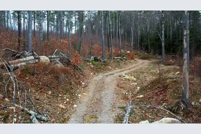 17 Todd Road, Francestown, NH 03043 - Photo 11