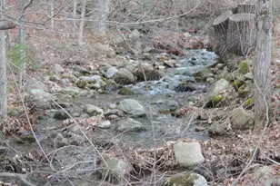 445 Whittier Hwy, Sandwich, NH 03227 - Photo 7