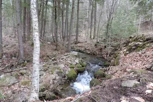 445 Whittier Hwy, Sandwich, NH 03227 - Photo 35