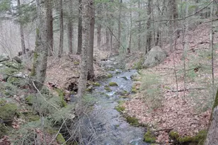 445 Whittier Hwy, Sandwich, NH 03227 - Photo 31