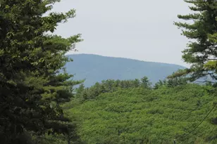 445 Whittier Hwy, Sandwich, NH 03227 - Photo 9