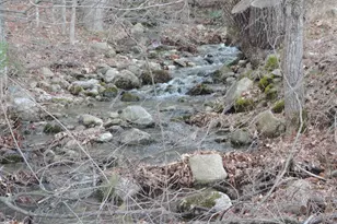 445 Whittier Hwy, Sandwich, NH 03227 - Photo 27