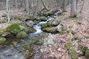 445 Whittier Hwy, Sandwich, NH 03227 - Photo 7