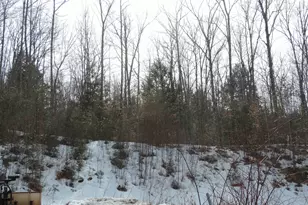 445 Whittier Hwy, Sandwich, NH 03227 - Photo 37