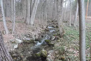 445 Whittier Hwy, Sandwich, NH 03227 - Photo 29