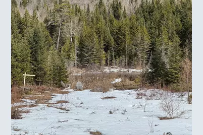 1656 Williamstown Road, Washington, VT 05675 - Photo 3