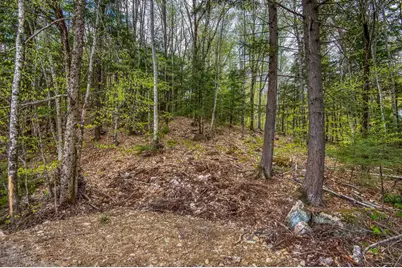 00 Ellis Ridge Road #B6-D, Bartlett, NH 03838 - Photo 5