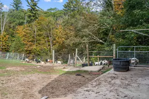 447 Center Rd, Hillsboro, NH 03244 - Photo 53