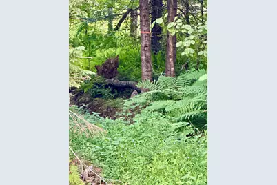 53 Pleasant Valley Road, Lancaster, NH 03584 - Photo 29