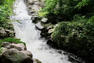 119 Moultonville Rd, Ossipee, NH 03814 - Photo 1