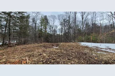 Poverty Plain Road #Map 7 Lot 100, Hillsboro, NH 03244 - Photo 3