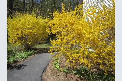 72 Morningside Commons, Brattleboro, VT 05301 - Photo 49