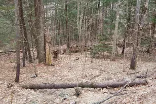 410-089-001 Eastern District Rd, Danbury, NH 03230 - Photo 1