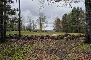115 Moody Rd, Effingham, NH 03882 - Photo 37