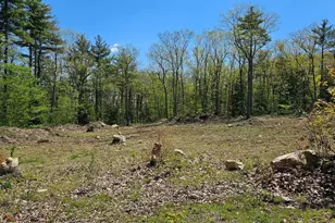 115 Moody Rd, Effingham, NH 03882 - Photo 39