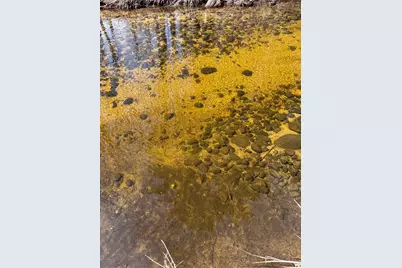 166 Amherst Street, Amherst, NH 03031 - Photo 51