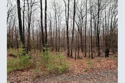 0 Old Walpole/Valley View Road, Keene, NH 03431 - Photo 5