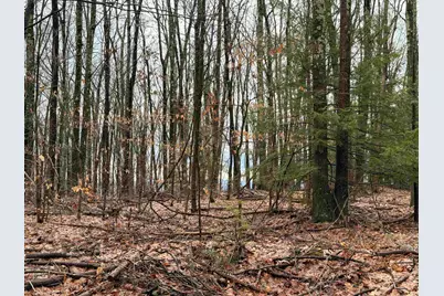 0 Old Walpole/Valley View Road, Keene, NH 03431 - Photo 7