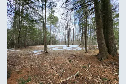 890 Washburn Road, Alexandria, NH 03222 - Photo 3