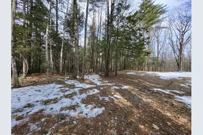 890 Washburn Road, Alexandria, NH 03222 - Photo 5
