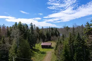 975 Newark Pond Rd, Newark, VT 05871 - Photo 3