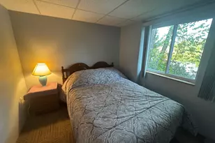 9 Abenaki Dr, Freedom, NH 03836 - Photo 47