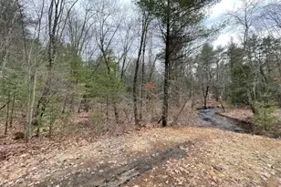 Pingree Hill Rd, Auburn, NH 03032 - Photo 1