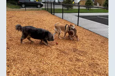 80 Constitution Avenue #219, Portsmouth, NH 03801 - Photo 23