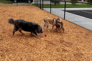 80 Constitution Ave, Portsmouth, NH 03801 - Photo 23