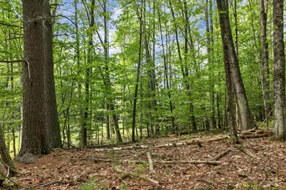 Clark Road #Map R-16 Lot 7-1, Tilton, NH 03276 - Photo 21