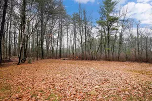 50 Woodridge Rd, Danville, NH 03826 - Photo 3