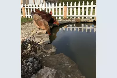 217 Ferry Road, Ferrisburgh, VT 05491 - Photo 31