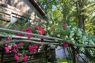 171 Crawley Falls Rd, Brentwood, NH 03833 - Photo 5