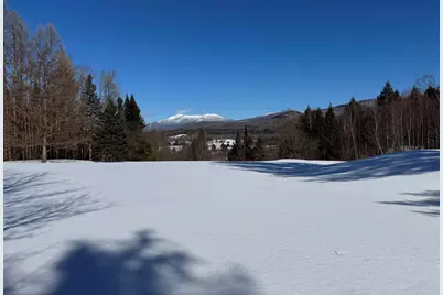65 Bentley Lane, Jericho, VT 05465 - Photo 41